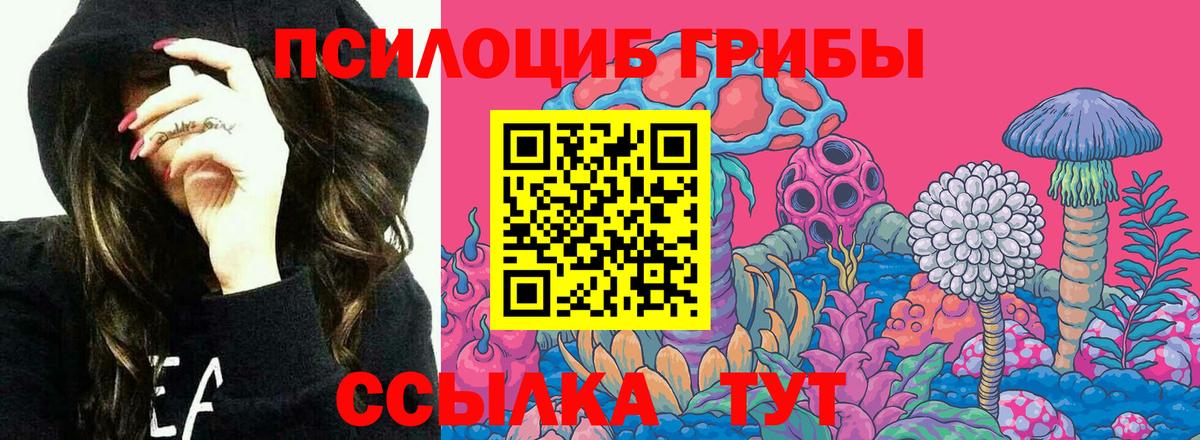 Санкт-Петербург  Псилоцибиновые грибы Magic Shrooms  Вход с VPN 