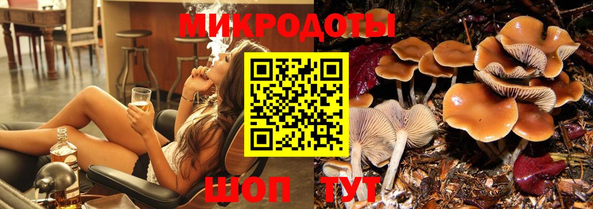Галлюциногенные грибы MAGIC MUSHROOMS Санкт-Петербург